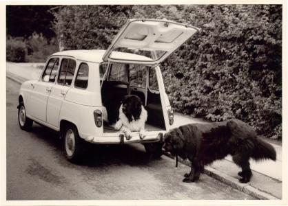 Renault 4 Estate (foto 17)