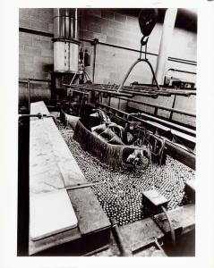 Flyhistorie: American Aviation Corp 1970