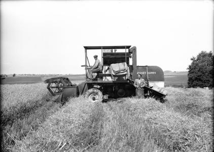 Massey Harris Mejetærsker