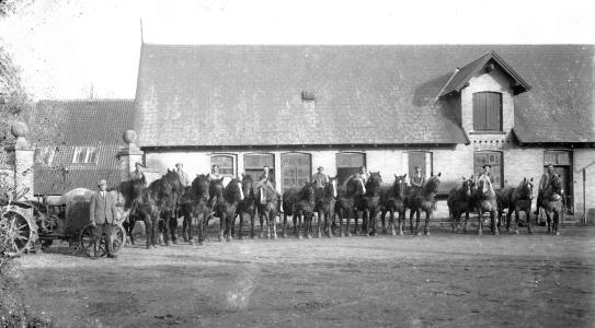 Gruppebillede med traktor og heste