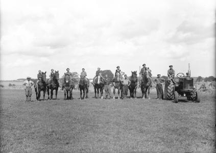 Gruppebillede med heste og en traktor