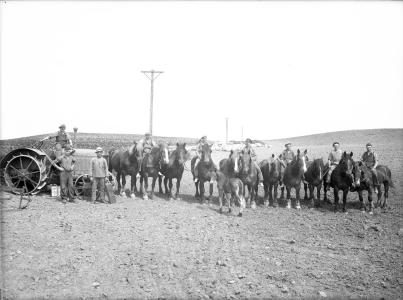 Gruppebillede med heste og en traktor